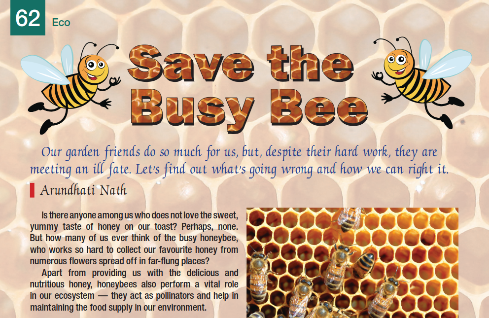 Save the busy bee